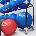 Fitness Equipment With Reebok Exercise Balls Storage Rack Yoga Mats And Heart Rate Monitor
