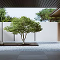 Modern Garden Landscape Design with Central Tree White Wall Black Stone Platform and Gravel Ground
