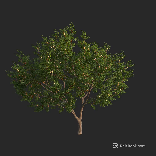 Arbor With Lush Green Leaves Brown Trunk And Small Fruits 3d model 