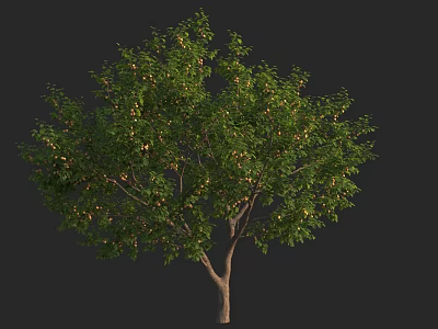 Arbor With Lush Green Leaves Brown Trunk And Small Fruits 3d model