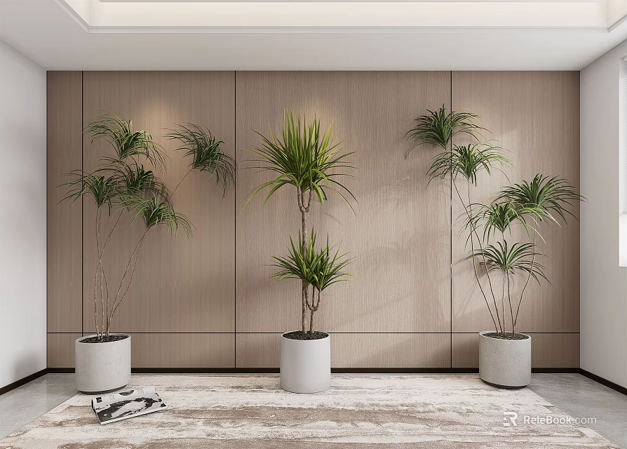 Multiple Indoor Potted Plants Decor With Wooden Wall Light Colored Pots And Floor Rug 3d model 