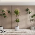 Multiple Indoor Potted Plants Decor With Wooden Wall Light Colored Pots And Floor Rug