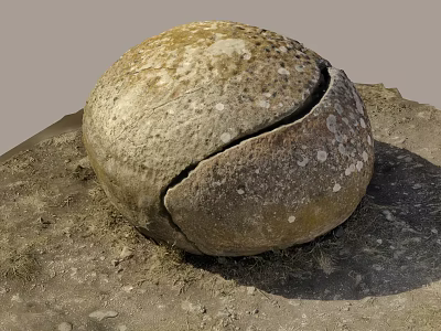 Giant Round Cracked Stone With Speckled Surface And Wood Logs In Grass Dirt 3d model