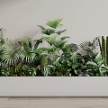 Lush Indoor Green Plant Wall With Various Palm Leaves And Cactus In White Planter