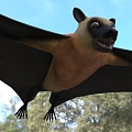 Modern Madagascar flying fox animal creatures 3d model