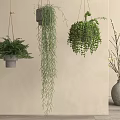 Various Lush Green Hanging Plants in Modern Planters for Indoor Decor