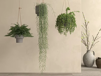 Various Lush Green Hanging Plants in Modern Planters for Indoor Decor 3d model