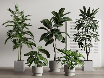 Bonsai Potted Plants With Various Greenery In White Grey Pots Light Walls Wooden Floors 3d model