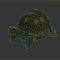 Turtle Cartoon Turtle Snapping Turtle Chickbill Turtle Reptile Cold Blooded Animal Reptile Class 3d model