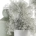 White and Green Textured Vases With Dried Flowers In Various Shapes For Home Decor