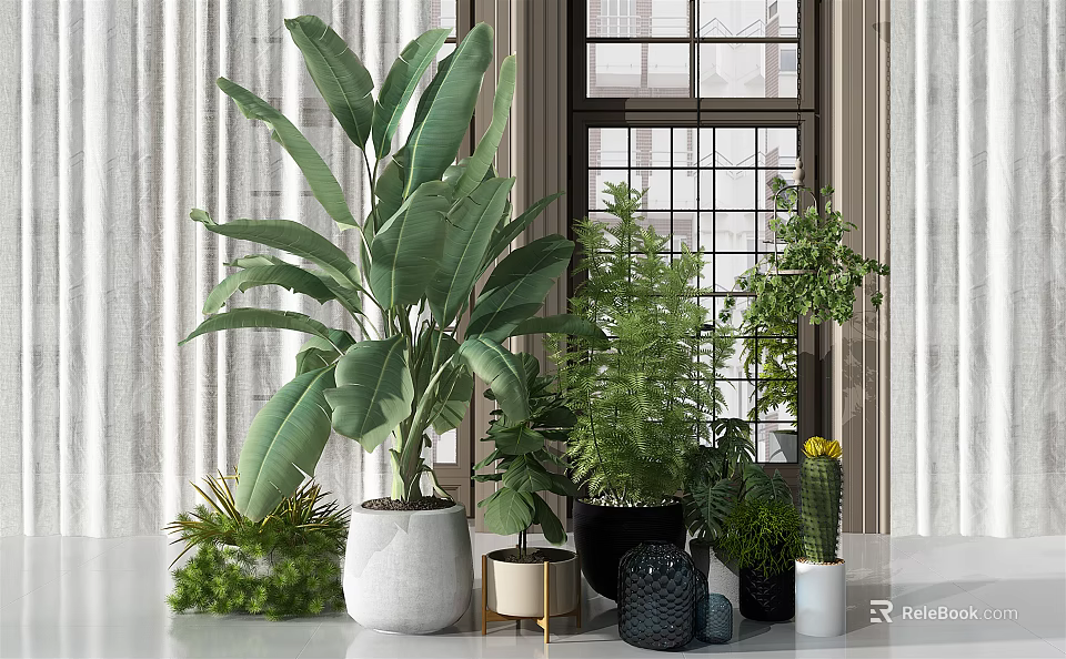 Indoor Decorative Bonsai And Potted Plants With Various Green Foliage And Stylish Pots 3d model 