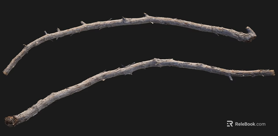 Two dry wooden branches with sharp thorns on black background 3d model 