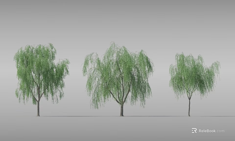 Three Weeping Willow Trees With Green Foliage And Graceful Branches 3d model 