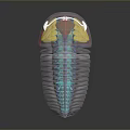 Colorful Caterpillar With Blue Red Yellow Segments And Transparent Body Parts