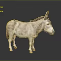 Realistic Gray Donkey Model With Brown Mane Standing On Dark Surface