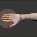 Decorative Ornament Set Featuring Solar System Sun Planets and Small Particles on Hand