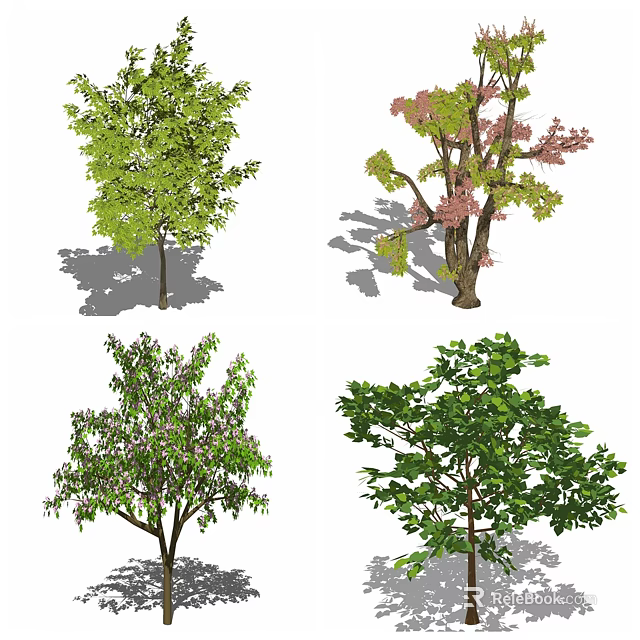 Various Arbor Types Featuring Green And Pink Foliage In Different Crown Shapes 3d model