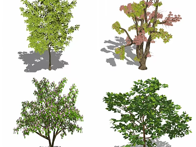 Various Arbor Types Featuring Green And Pink Foliage In Different Crown Shapes 3d model