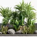 Lush Tropical Shrubs With Green Plants Stones And Elevated Gray Platform 3d model