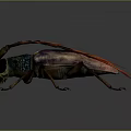 3D Insect Model With Metallic Sheen Long Antennae Red Branches Legs And Reflection On Gray