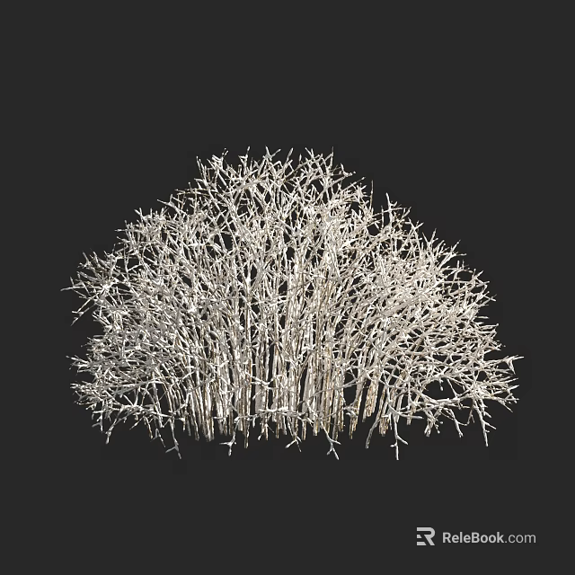 Leafless Arbor with Dense Branches Against Black Background in Natural Form 3d model 