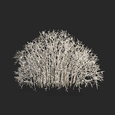 autumn and winter plants shrub tree snow cover 3d model autumn and winter plants shrub tree snow cover 3d model