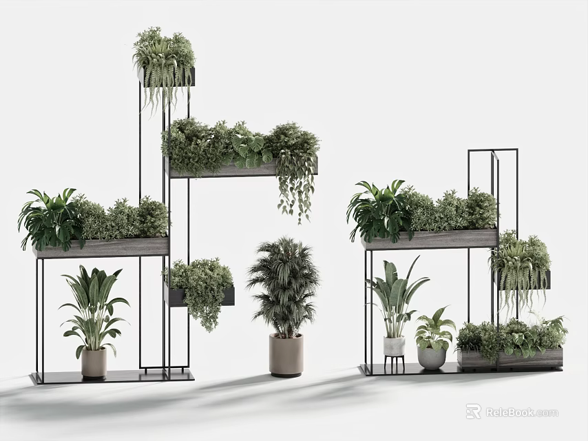 Stylish Potted Bonsai Plants On Multi Tier Metal Shelves Modern Indoor 3d model 
