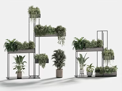 Stylish Potted Bonsai Plants On Multi Tier Metal Shelves Modern Indoor 3d model