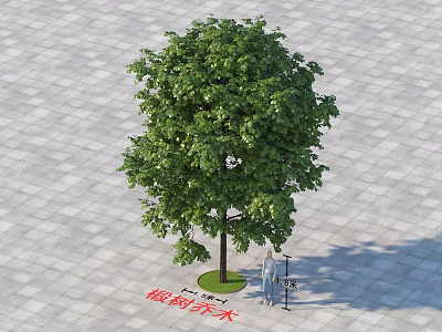 Healthy Lush Arbor With Green Foliage On Paved Ground And Lawn Area 3d model
