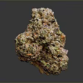 Vibrant Cannabis Bud Featuring Green Purple Orange Hues And Trichome Covered Surface