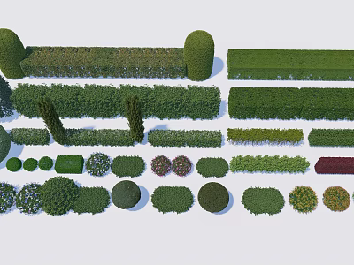 Diverse Shrub Varieties With Trimmed Shapes And Different Sizes For Garden Landscaping 3d model