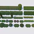 Diverse Shrub Varieties With Trimmed Shapes And Different Sizes For Garden Landscaping