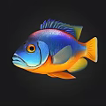 Colorful Tropical Fish With Vibrant Blue Orange And Yellow Scales On Black Background