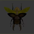 Blue Beetle With Large Horns And Wings Near Green Leaf On Dark Background