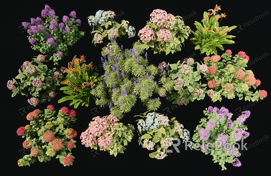 flowers flowers and plants flower border plants green plants balcony plants model