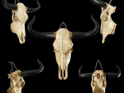Decorative Animal Wall Decor with Multiple Bull Skulls Hanging on Wall 3d model