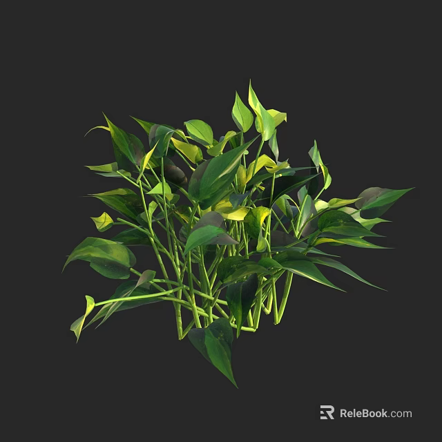 Lush Green Leafy Plant With Yellow Blooms For Indoor Decoration 3d model 