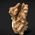 Halved Walnut Kernel Natural Healthy Food with Smooth Texture on Dark Background