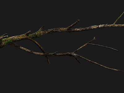 Detailed Dry Wood Branch With Green Moss Texture On Black Background 3d model
