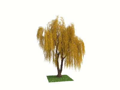 Weeping Willow Tree With Yellow Drooping Branches And Green Grassy Base 3d model