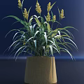 Beautiful Bonsai Potted Plant with Green Leaves and Yellow Flowers in Brown Decorative Pot