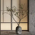 Bonsai Potted Plant With Slender Branches Green Leaves In Gray Ceramic Pot On Stone Tabletop