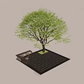 Outdoor Decorative Lights Adorn Large Tree In Leisure Setting With Wooden Floor And People