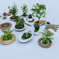 Creative Designed Tree Planters With Circular Oval Wooden Borders And Green Plants
