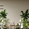 Designer Indoor Space with Lush Green Plants and Modern Furniture Arrangement