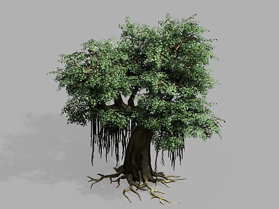 Lush Green Leafy Tree With Thick Trunk Hanging Aerial Roots And Exposed Roots 3d model