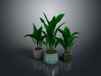 Leafy Green Plants in Three Different Colored Pots on Gray Surface 3d model