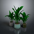 Leafy Green Plants in Three Different Colored Pots on Gray Surface