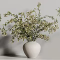 Stylish Potted Bonsai Plants With Unique Shaped White Ceramic Pots And Lush Green Leaves