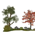 arbor landscape tree modeling tree big tree red maple courtyard tree 3d model